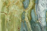 Free-Standing, Gary Green Jasper (Larsonite) Bog Wood - Oregon #334798-1